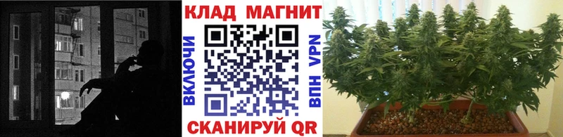 Купить наркотики сайты Электроугли Гашиш  A-PVP  Меф  АМФЕТАМИН  Марихуана 