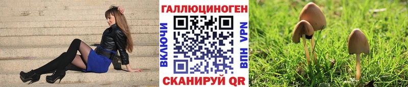 kraken вход  Электроугли  Псилоцибиновые грибы мухоморы  где можно купить наркотик 